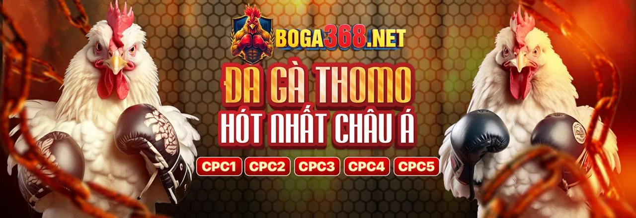 Sân đá gà kịch tính tại Trum88 nhà cái