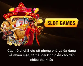Hỗ trợ đa ngôn ngữ